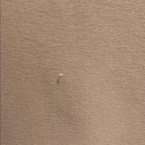 Vince - Picture 3 of 4